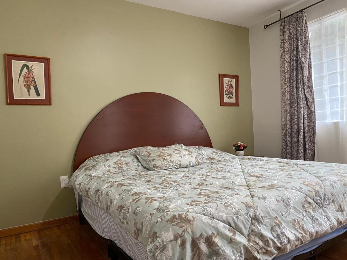 Nebraska Suites Wtc مدينة مكسيكو المظهر الخارجي الصورة